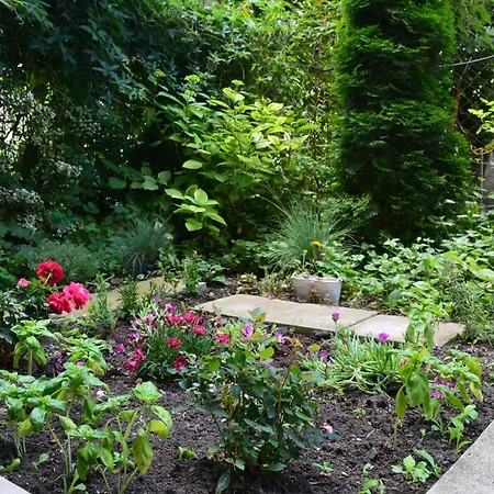 Appartamento Center With A Backyard