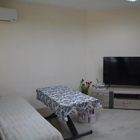 Center With A Backyard Burgas