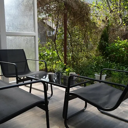 Center With A Backyard Daire
