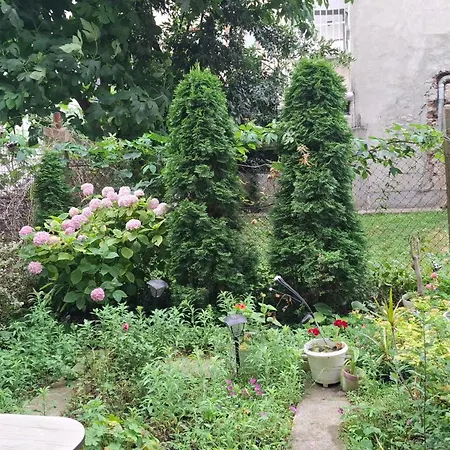 Apartament Center With A Backyard Burgas