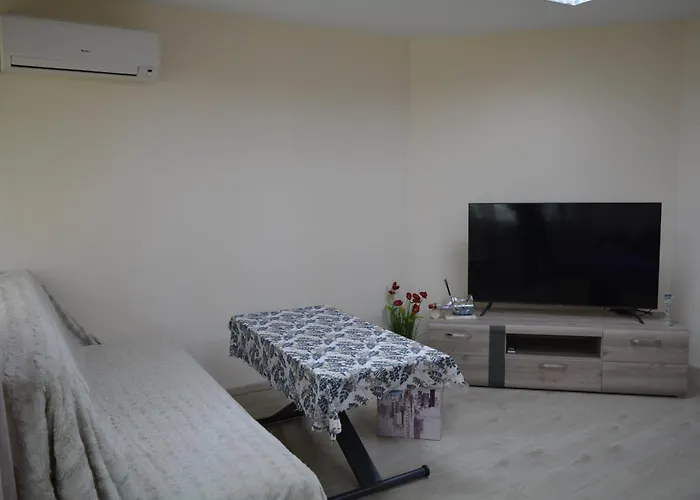 Center With A Backyard Burgas