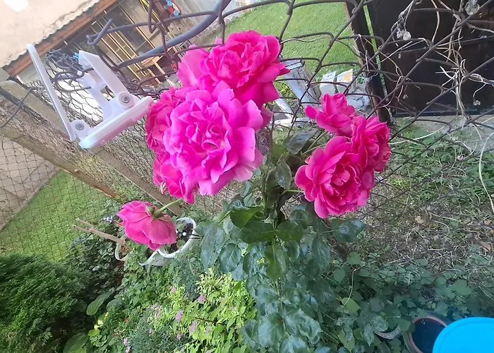 Center With A Backyard Apartamento Burgas