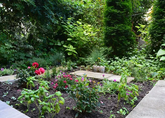 Apartament Center With A Backyard